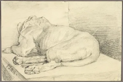 Reclining Lion From Back