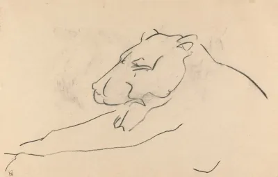 Reclining Lioness