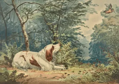 Reclining Spaniel Gazing At Hovering Hummingbird