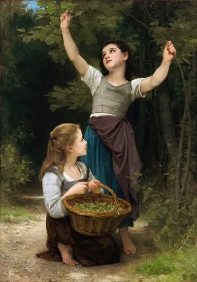 Recolte De Noisettes