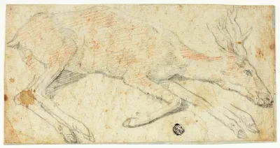 Recumbent Deer
