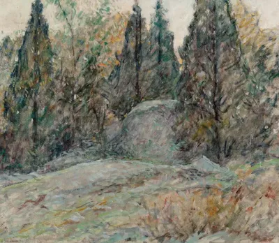 Red Cedars And Rocks