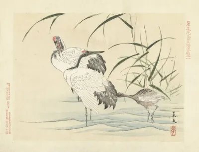 Red Crowned Crane