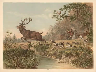 Red Deer 3