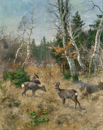 Red Deer In A Forest Glade