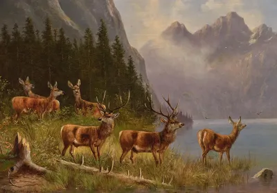 Red Deer On The Lakeside Signed In Ligature Dated Mmuller Munich