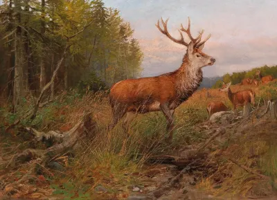Red Deer On The Lookout