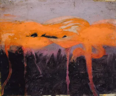 Red Flamingoes Study For Book Concealing Coloration In The Animal Kingdom
