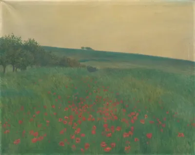 Red Poppies