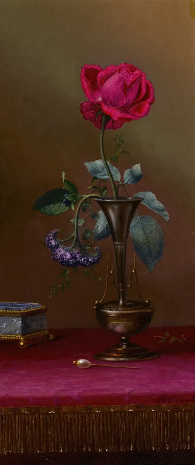 Red Rose And Heliotrope In A Vase Requited And Unrequited Love