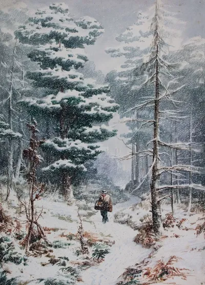 Rednal Wood Winter