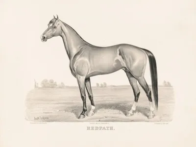 Redpath 2
