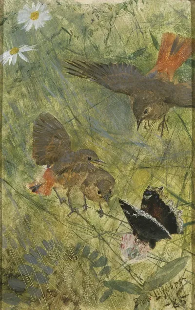 Redstarts And Butterflies