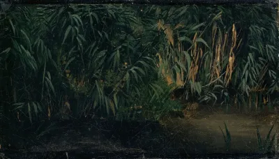 Reed