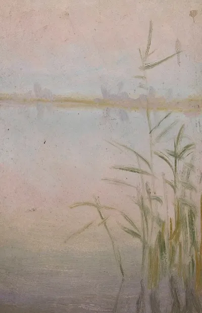 Reeds At The Lake