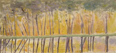 Reflet Sur Leau Dune Haie Darbres Sous Une Lumiere De Couchant 2