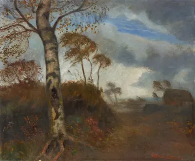 Regenstimmung Im Moor