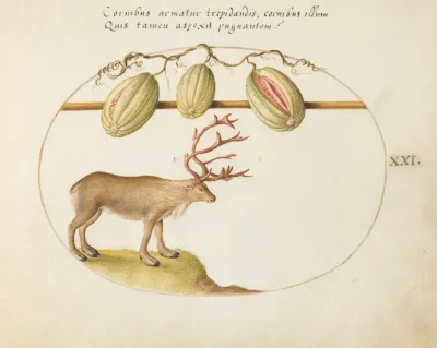 Reindeer With Melons