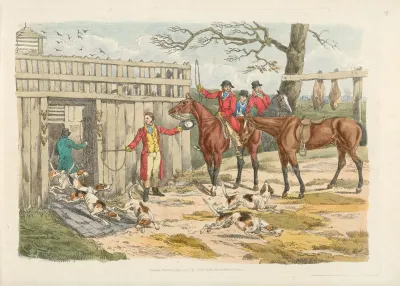 Releasing The Dogs For Hunting