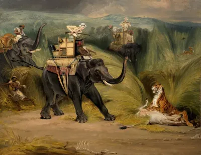 Rencontre Fortuite Avec Un Tigre Lors Dune Chasse A Dos Delephant En Inde