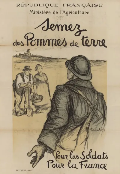 Republique Francaise Ministere De Lagriculture Semez Des Pommes De Terre Pour Les
