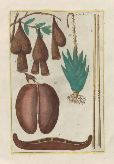 Rerum Naturalium Historia Nempe Quadrupedum Pl 45