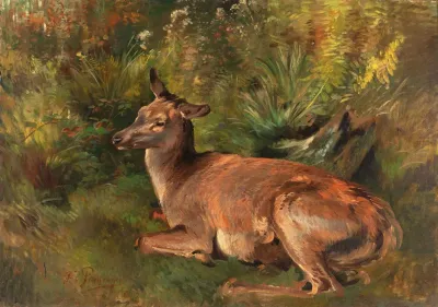 Resting Hind