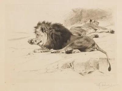 Resting Lions 2