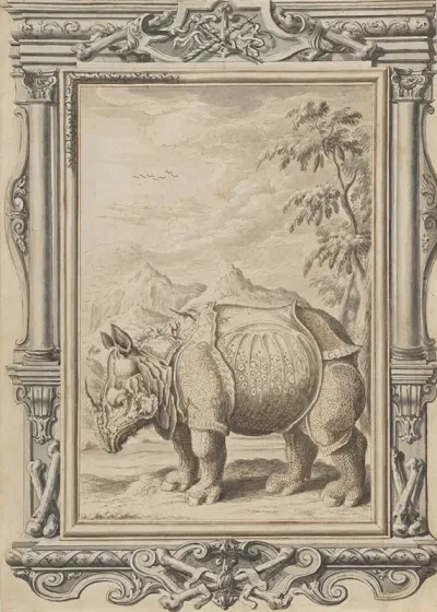 Rhinoceros In A Landscape Within An Ornamental Frame