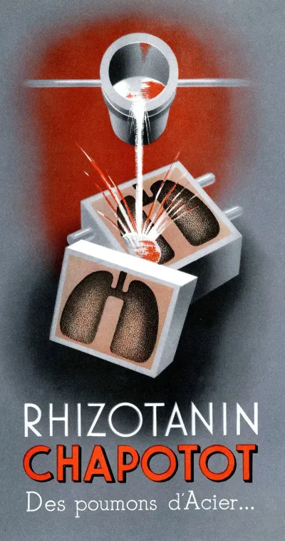 Rhizotanin Chapotot 2