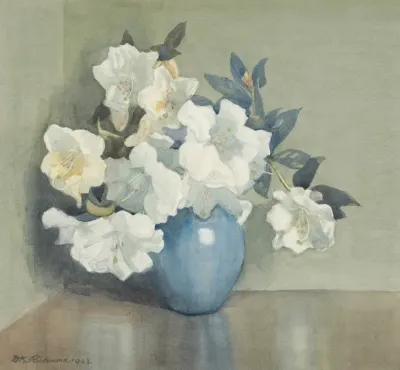 Rhododendron Fragrantissima