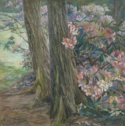 Rhododendronbusch In Einem Garten