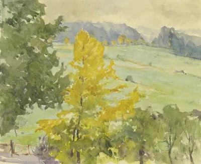 Rhon Landscape