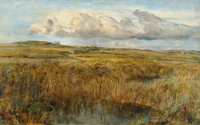 Rhoscolyn Anglesey