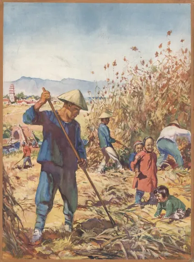 Rice Harvest In China