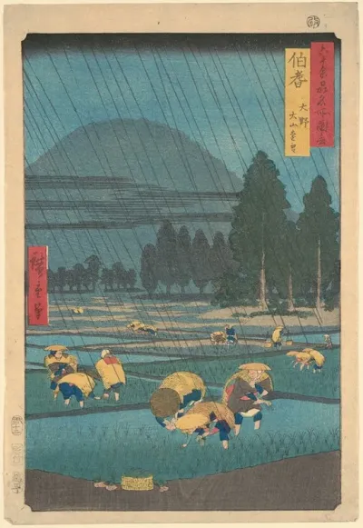 Rice Planting Under Rain At Ono Hoki Prefecture