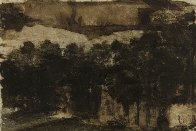 Rideau Darbres Au Bord De Leau