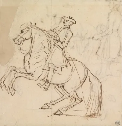 Rider On A Horse Rearing To Left