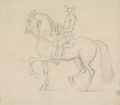Rider With A Draw Rein Walking To Left