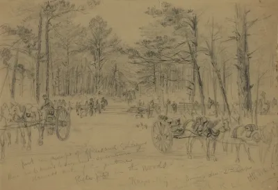 Rifle Pits In The Woods