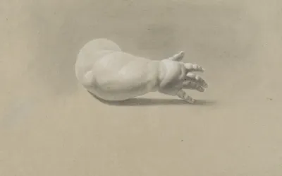 Right Arm Of A Child