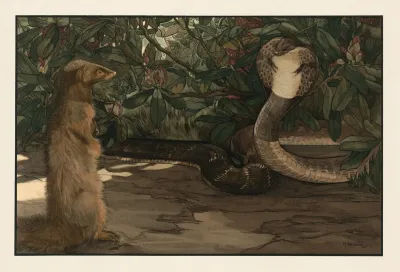 Rikki Tikki 2
