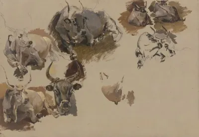 Rinder Auf Dem Campo Vaccino In Rom