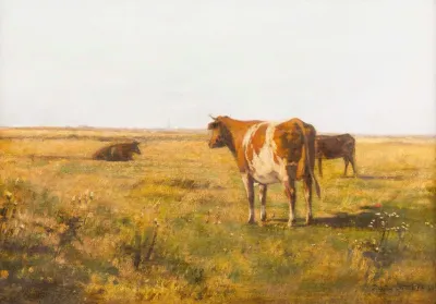 Rinder Auf Sommerwiese