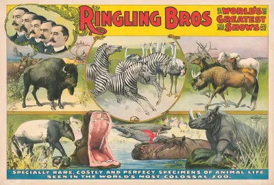 Ringling Bros Worlds Greatest Shows Specially Rare Costly And Perfect Specimens Of Animal Life In Colossal Zoo