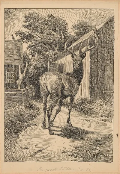 Ringwaakbukken