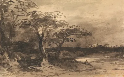 River Trees And Distant Town