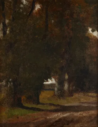 Road Among Trees