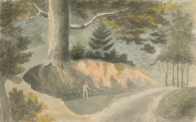 Road In The Forest 3