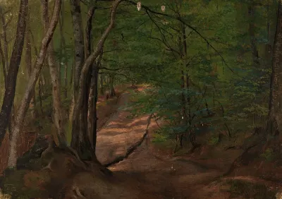 Road In The Forest
